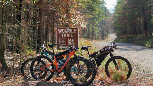 The DOOM (R)Evolution: Transitioning to the Ouachitas