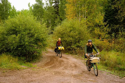 Waxed Canvas Basket Bag (Fits Wald 139)